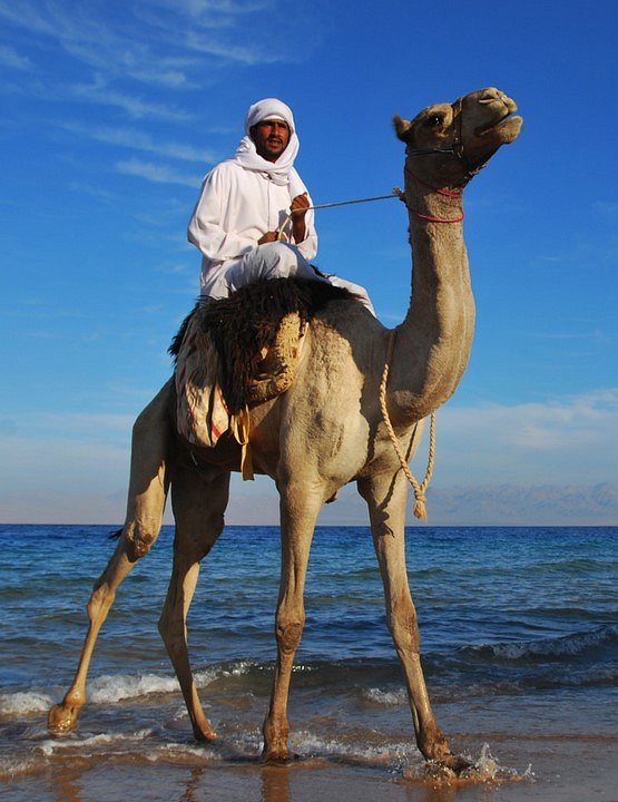 Egypte : Le Sinaï, désert polychrome - Z filmu