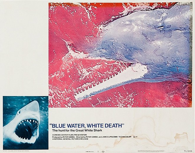 Blaues Wasser, weisser Tod - Lobbykarten