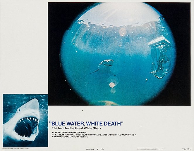 Blue Water, White Death - Fotosky