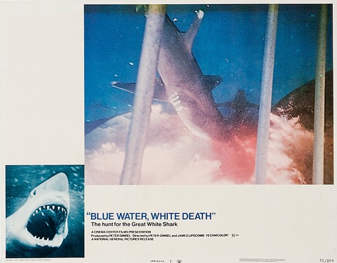 Blaues Wasser, weisser Tod - Lobbykarten