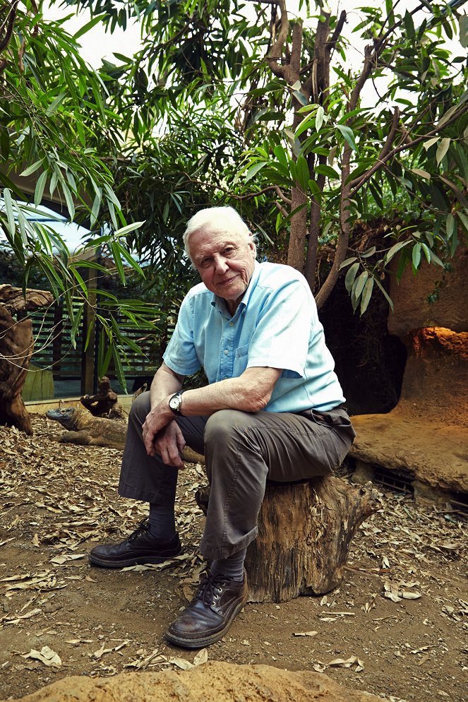 Kurioses aus der Tierwelt - Season 2 - Ein Leben ohne Sex: Der Komodowaran und die Blattlaus - Werbefoto - David Attenborough