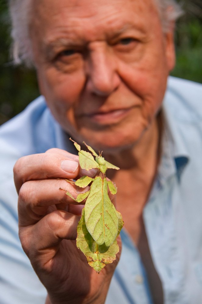 David Attenborough - A természet csodái - Virgin Births - Promóció fotók