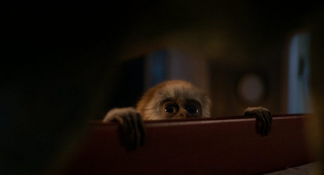 Monky – Kleiner Affe, großer Trost - Filmfotos