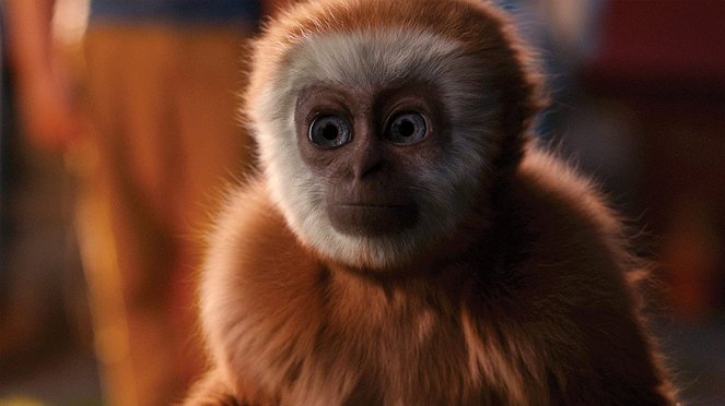 Monky – Kleiner Affe, großer Trost - Filmfotos