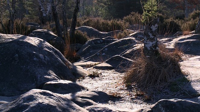 Úžasné krajiny - Fontainebleau - Z filmu