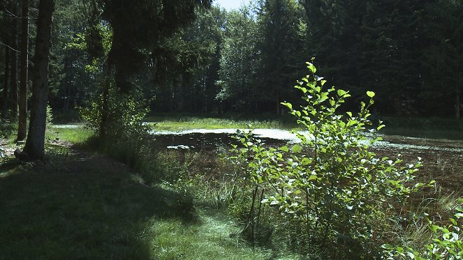 Paysages d'ici et d'ailleurs - Vosges - De la película