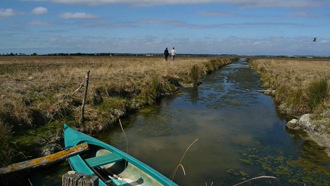 Amazing Landscapes - Season 1 - Le Marais poitevin - Photos