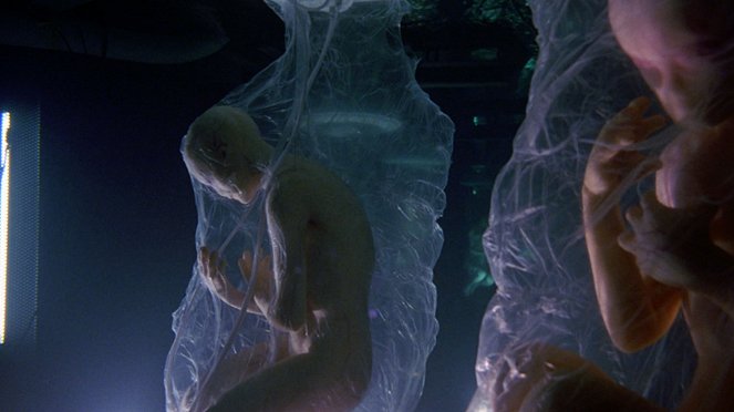 Unerklärliche Phänomene - Ancient Aliens - Season 14 - Reptiloiden - Filmfotos