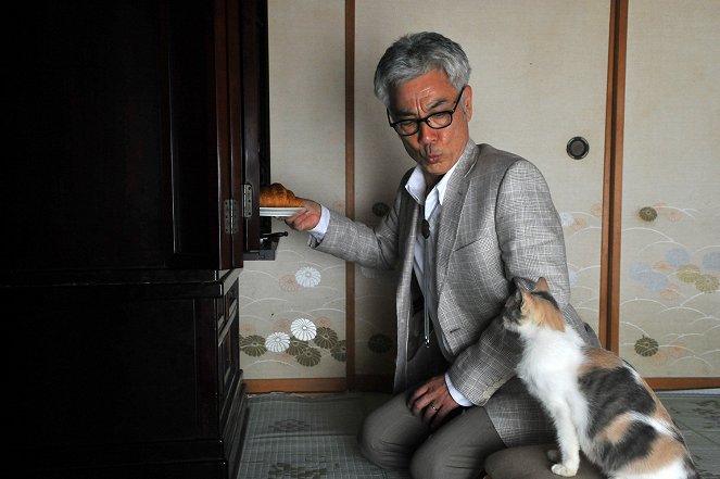 Teacher and Stray Cat - Photos - Ogata Issei
