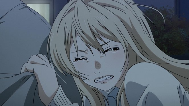 Your lie in April - Two of a Kind - Photos