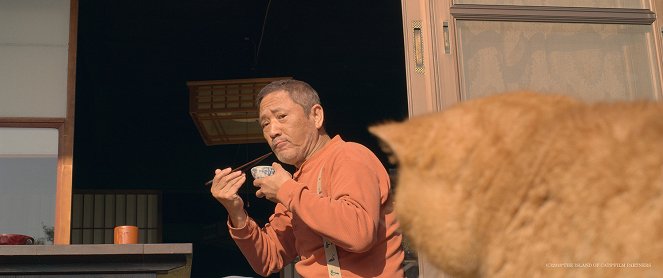 The Island of Cats - Photos - 小林薫