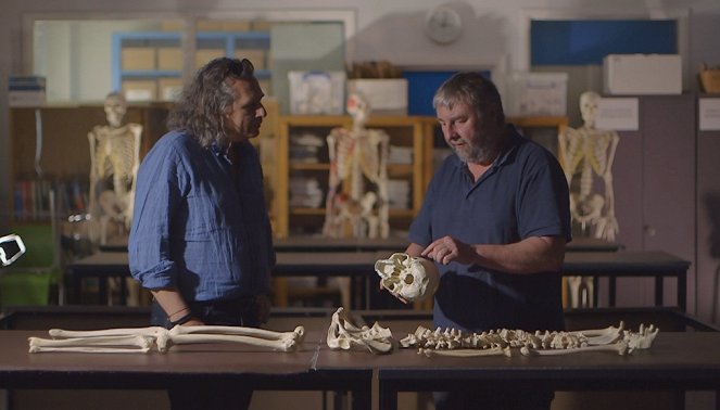 Enquêtes archéologiques - Les Bâtisseurs de Stonehenge - Kuvat elokuvasta