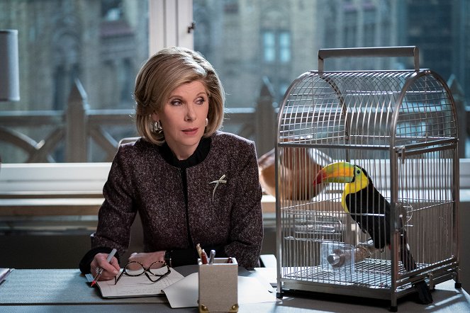 The Good Fight - The Gang Is Satirized and Doesn't Like It - Film - Christine Baranski