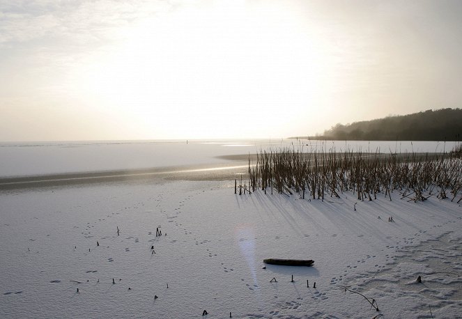 Das Steinhuder Meer - Niedersachsens Naturoase - Filmfotos