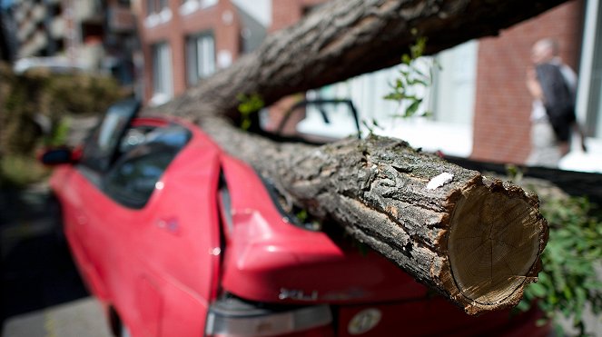 Das Jahrhundertgewitter - Als Ela an Pfingsten durchs Land fegte - Van film