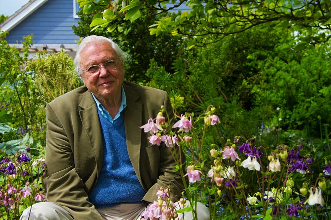 David Attenborough's Natural Curiosities - Shocking Senses - Promoción - David Attenborough