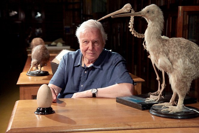 David Attenborough's Natural Curiosities - Extreme Babies - Promoción - David Attenborough