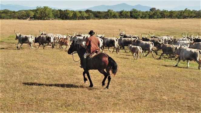 Butteri – Italiens letzte Cowboys - Filmfotos