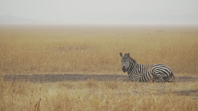 Afrikas wilde Wunderwelt - Filmfotos