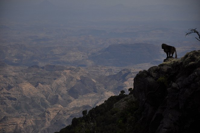 Africa's Hidden Wonders - De la película