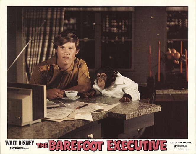 The Barefoot Executive - Lobbykarten