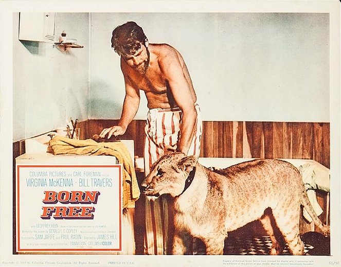 Born Free - Lobby Cards