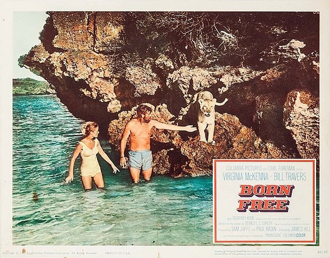 Born Free - Lobby Cards