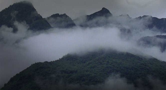 Vedete, sono uno di voi - Photos