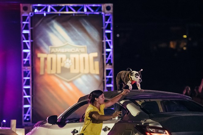 America's Top Dog - Kuvat elokuvasta