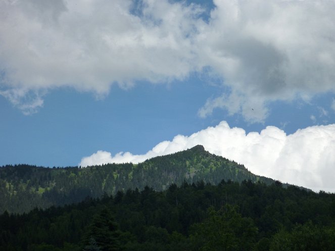 Sommer im Bayerischen Wald - Z filmu