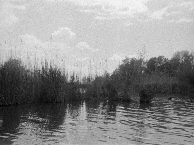 Pták Rybák - Kuvat elokuvasta