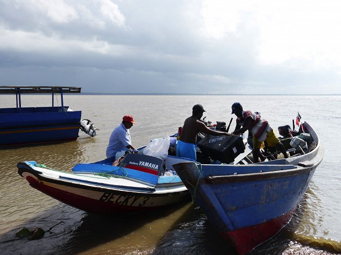 Zu den Quellen des Essequibo - Im Delta - Filmfotos