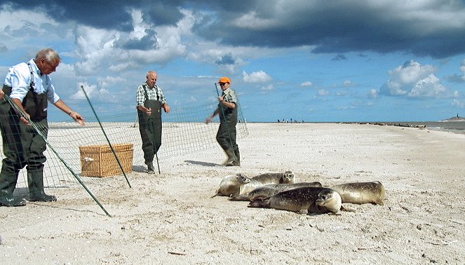 Land im Gezeitenstrom - Ostfriesland zwischen Jade und Ems - Filmfotók