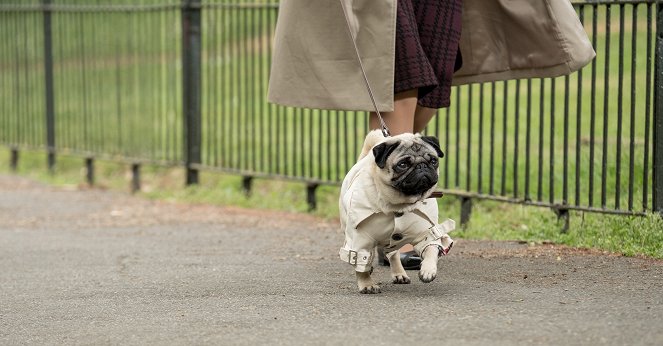 Ein Mops zum Verlieben - Filmfotos