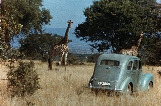 A nő, aki szerette a zsiráfokat - Filmfotók
