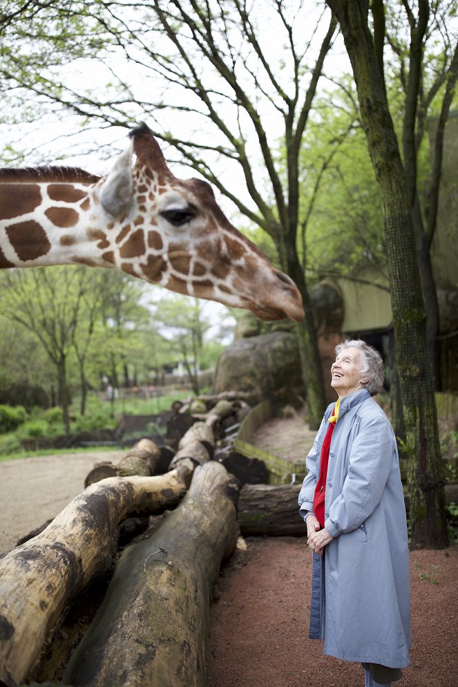 The Woman Who Loves Giraffes - Photos