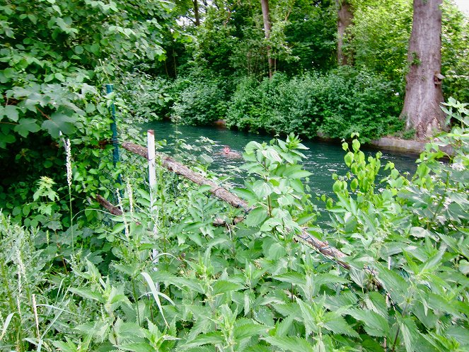 Augsburg - Stadt des Wassers - Photos