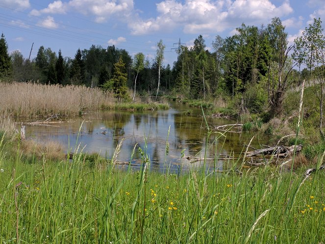 Augsburg - Stadt des Wassers - Photos