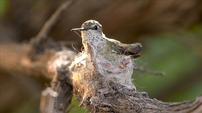 Tall & Tiny – Nature’s Extremes - Photos