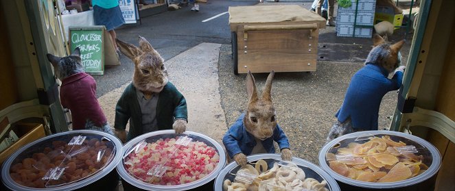 Peter Rabbit 2: The Runaway - Photos