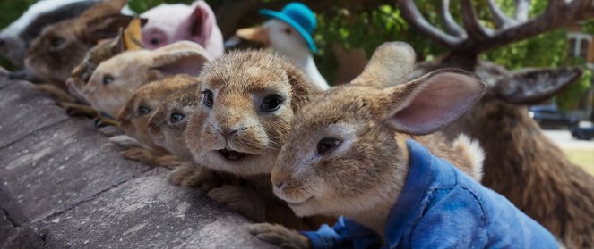 Peter Rabbit 2 - Photos