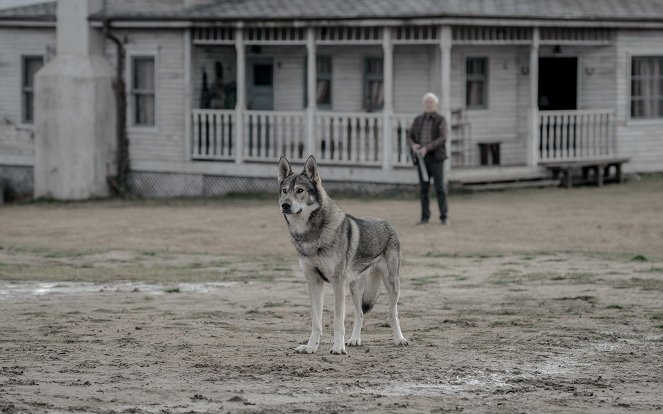 Nezvěstná - In Quo Ego Vado Vos - Z filmu