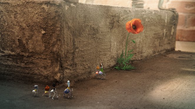 Websterovci - Naozajstný kvet - Filmfotos