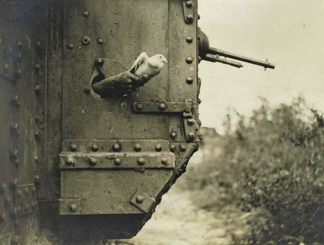Animali nella Grande Guerra - Van film