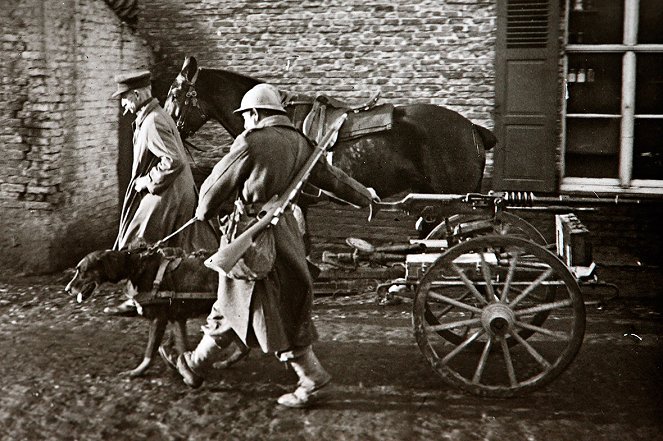 Animali nella Grande Guerra - Kuvat elokuvasta