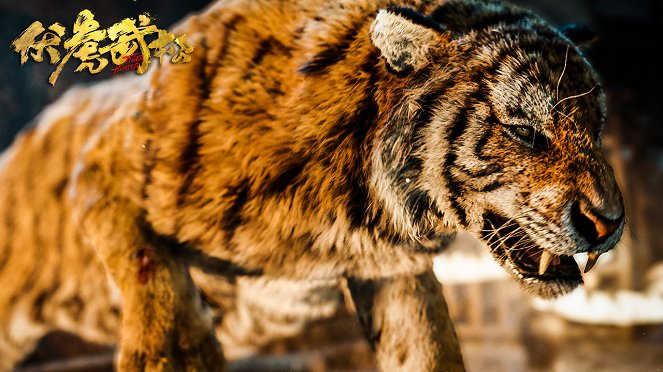 Tiger Hunter - Fotocromos