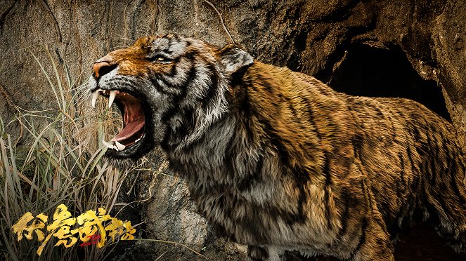 Tiger Hunter - Fotosky