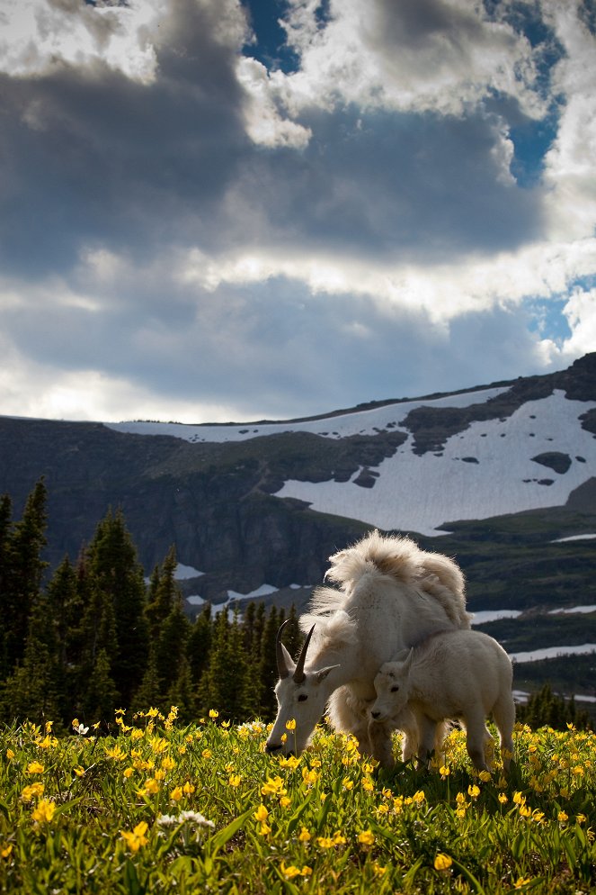 Wildnis Nordamerika - Die Macht der Berge - Filmfotos