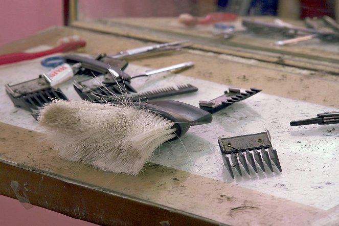 Barber Shop - In Algerien - De filmes