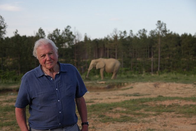 Attenborough and the Giant Elephant - Do filme - David Attenborough